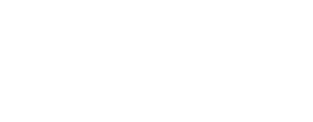 FDA Consulting logo Blanco